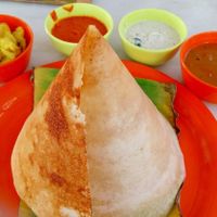 delicious Dosa at The Green House in Ahmedabad