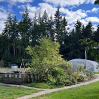   at Pillars of Hercules Organic Farm Shop and Cafe in Falkland