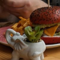  at Brunch Club in Funchal