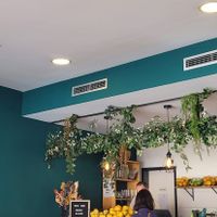 Inside at Brunch Club in Funchal