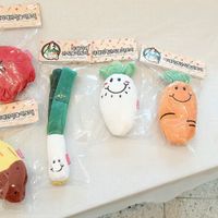 toys shaped like vegetables #Veganuary at Vegan Pet Food - 비견 in Seoul