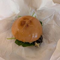  at Mutts Café & Restaurant in Exmouth