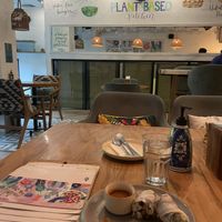 Summer Rolls  at Greenr Cafe in New Delhi