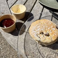 Home made scone with vegan spread and raspberry jam.   at The Running Fox at Kirkharle in Newcastle Upon Tyne