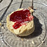 Vegan scone made with plant milk.   at The Running Fox at Kirkharle in Newcastle Upon Tyne