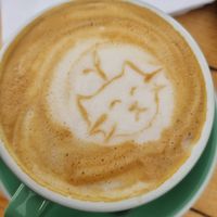  at Café Botánico in La Serena