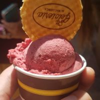 Blackberry gelato at Sa Gelateria in Mallorca