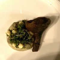   at Pand 33 in Utrecht