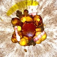   at Pand 33 in Utrecht