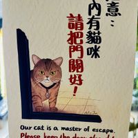 awesome cat  at Vegan Resort 啼岸 in Taipei