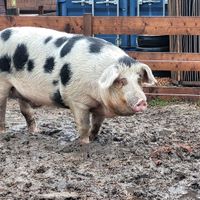   at De VerbroederIJ in Amsterdam