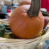 Pumpkin  at Woolf Farms Fruit Market in Salem