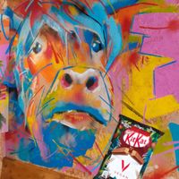 we finally found a vegan kitkat there at VK Plant Based Diner in Waterlooville