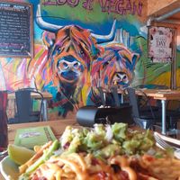  at VK Plant Based Diner in Waterlooville