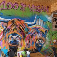  at VK Plant Based Diner in Waterlooville