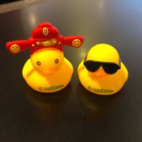 The ducks!  at CocoCane - City Square Mall in Central Singapore