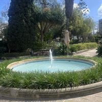   at Josephine's Coffee in Attard