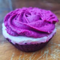  at The Pirate and The Geisha in Penryn