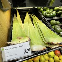 aloe at denn's Biomarkt - Ernst-August-Platz in Hannover