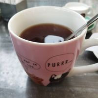 Black tea with cacao and coconut. Side of plant based milk at Cat Caffe in Zagreb