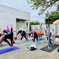 Yoga  at Folk and Merchant in Doubleview