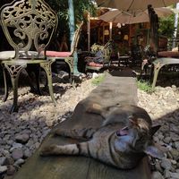  at DaOrganic restaurant in Sofia