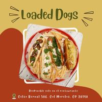 Hot Dogs grandes de: pesto, champiñones, elote o churcrut.  (Solo disponibles en el restaurante)  at Yam in Aguascalientes