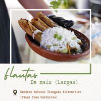 Flautas de maíz largas bañadas en salsa verde, guacamole, queso y crema. (Solo disponibles en el tianguis sendero natural ubicado en plaza tres centurias)  at Yam in Aguascalientes