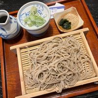 Vegan Zaru soba at Shikinosato  in Ninohe