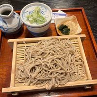 Vegan Zaru soba at Shikinosato  in Ninohe