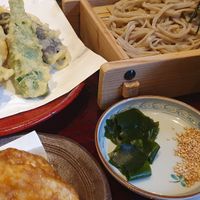 Different vegan dishes! at Shikinosato  in Ninohe