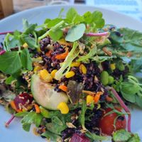 Nice rice salad at Tathra Hotel in Tathra