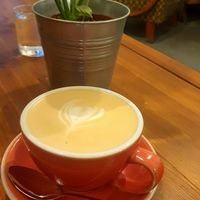 great coffee with oat milk at Coffee and Riot in Prague