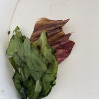 Bad quality  at FineFine in Cologne