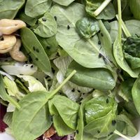 Small portion  at FineFine in Cologne