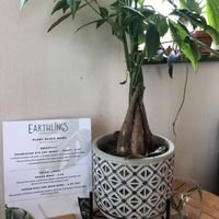  at Earthlings in Newcastle Upon Tyne