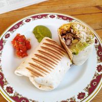 Vegan wrap at Earthlings in Newcastle Upon Tyne