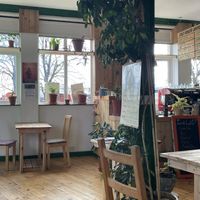   at Earthlings in Newcastle Upon Tyne