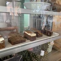   at Earthlings in Newcastle Upon Tyne