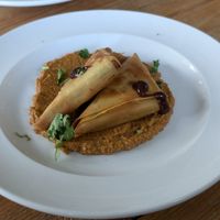  at Earthlings in Newcastle Upon Tyne