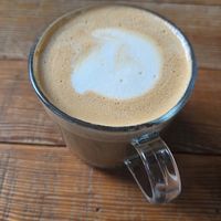  at Earthlings in Newcastle Upon Tyne