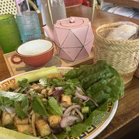 Laab Het (mushrooms and tofu with sticky rice)  at ThaiPop in Rochester