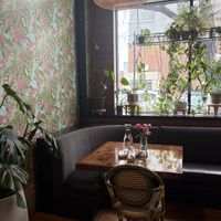   at ThaiPop in Rochester