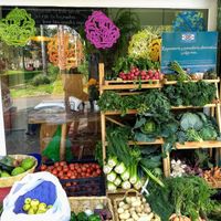  at Del Huerto in Cuernavaca