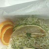 Sprout Lovers Tacos at PuraVegan in St Louis