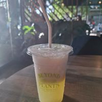 Pineapple coconut slash at Beyond Plants in Dumaguete