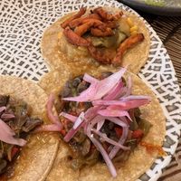 Tacos de calabaza y verduras  at El Villa Mexico in Huesca