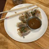 Red curry dumplings with peanut sauce 10/10  at Le Salon Enchanthé in Montreal