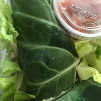 Collard green burrito at Puree Juice Bar in Bethesda