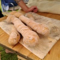 Oliven-Artischoken-Wurzel at Schwarzbrot OG in Vienna